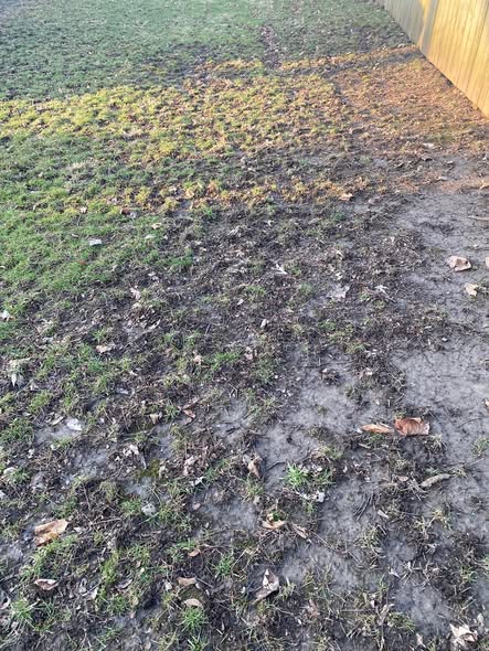 Lawn treatment being applied at wrong time of year on Sudbury property