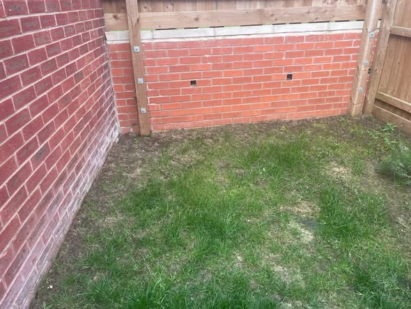 Misaligned lawn care result on Sudbury property from skipped initial question
