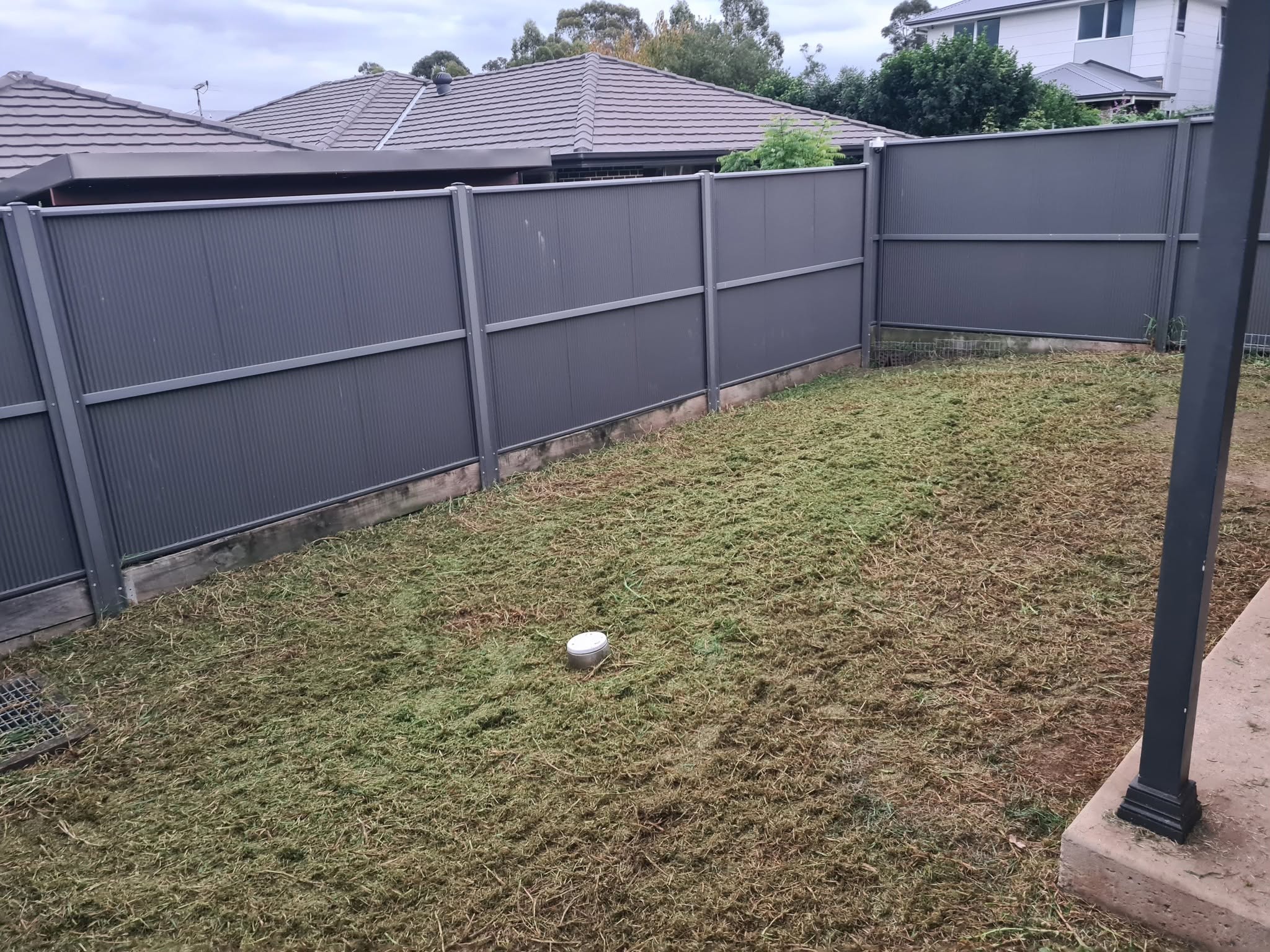 Neglected uneven Sudbury lawn with thin patches near trees