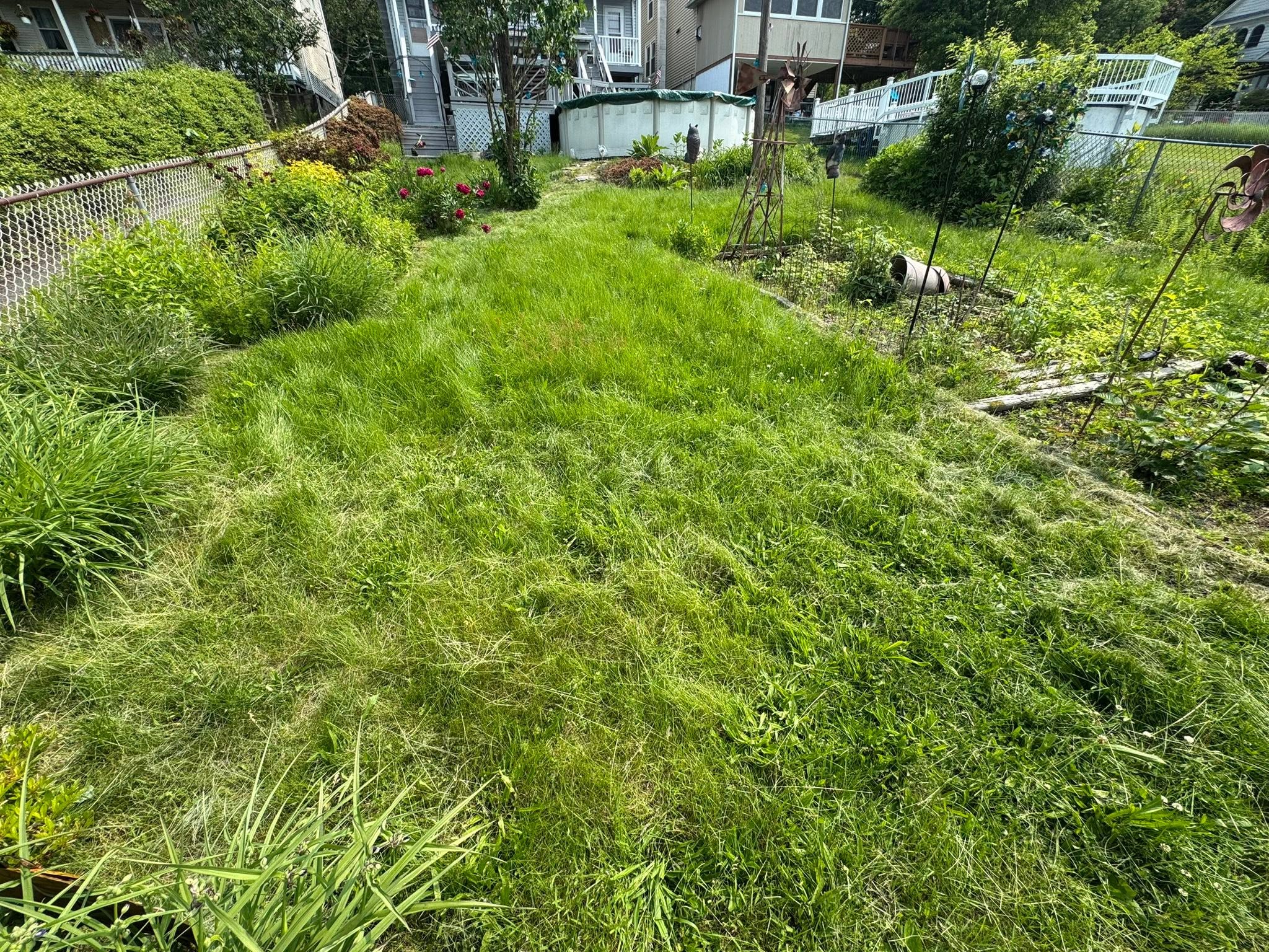 Overgrown uneven lawn from inconsistent contractor visits