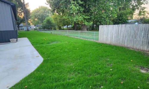 Recovering Sudbury lawn two weeks after full service sequence completed