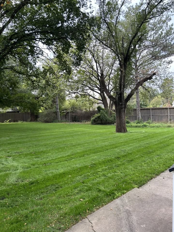 Ryan Lingenfelter adjusting lawn care plan based on specific neighbourhood soil conditions