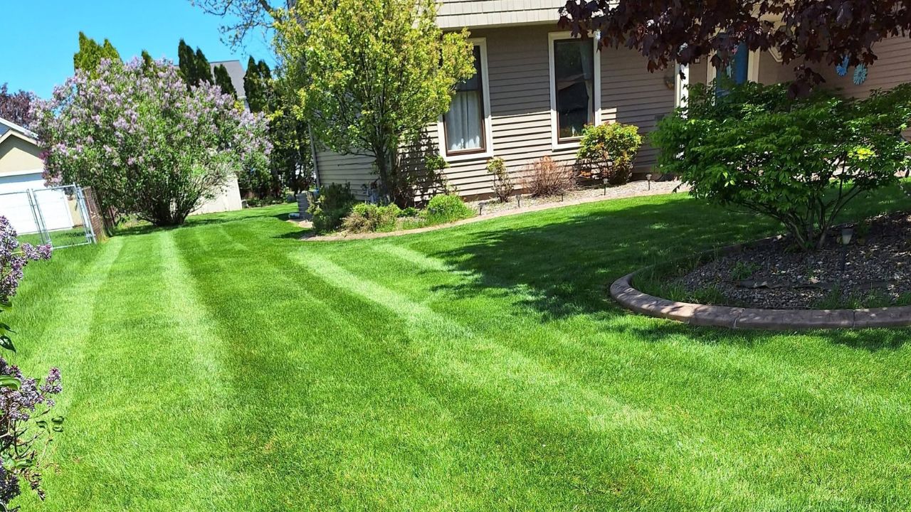 Ryan Lingenfelter creating unique lawn care plan for Sudbury homeowner at property assessment