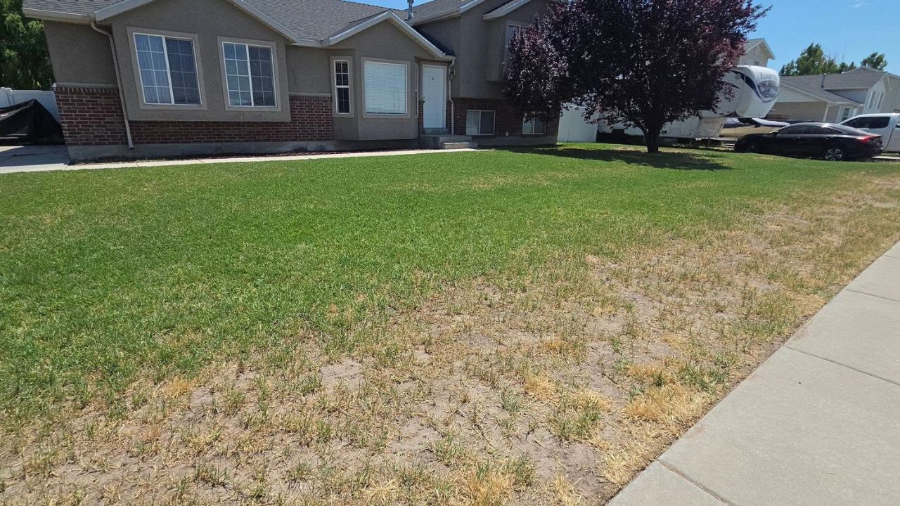 Ryan Lingenfelter having honest conversation with Sudbury homeowner about lawn expectations