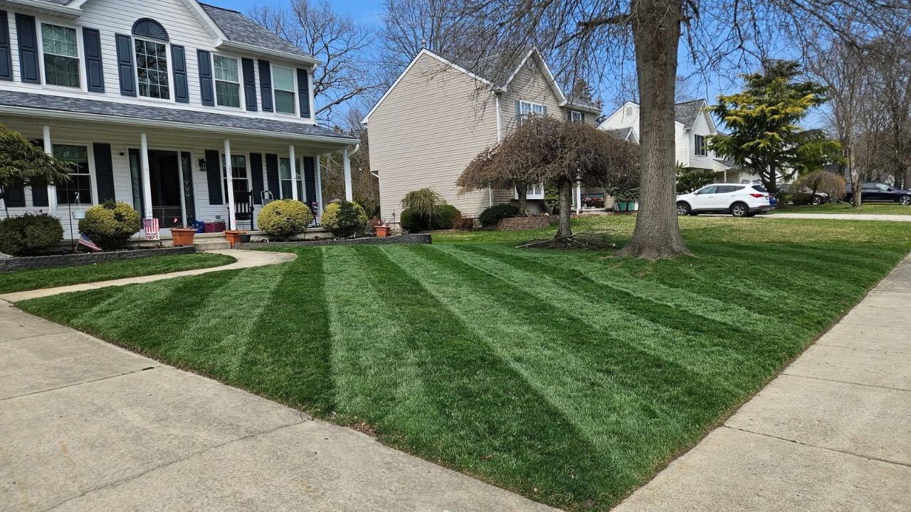 Ryan Lingenfelter lawn care experience update Sudbury Ontario 2020 to today