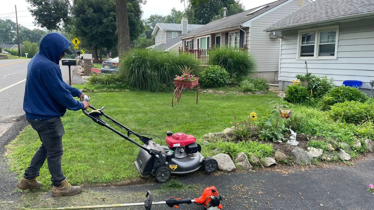 Ryan Lingenfelter walking a Sudbury lawn on first visit