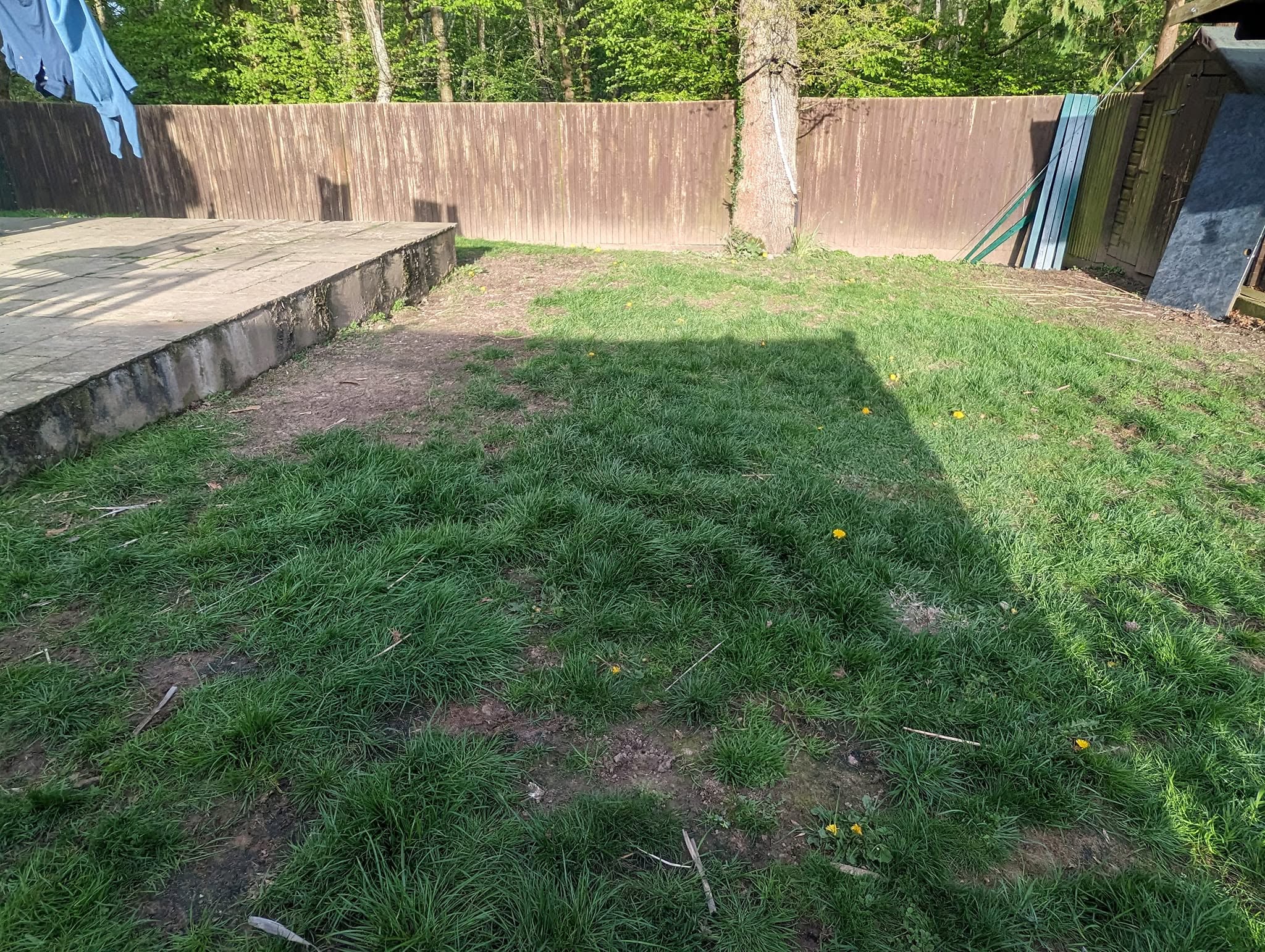 Ryan walking and explaining lawn issues directly to Sudbury homeowner