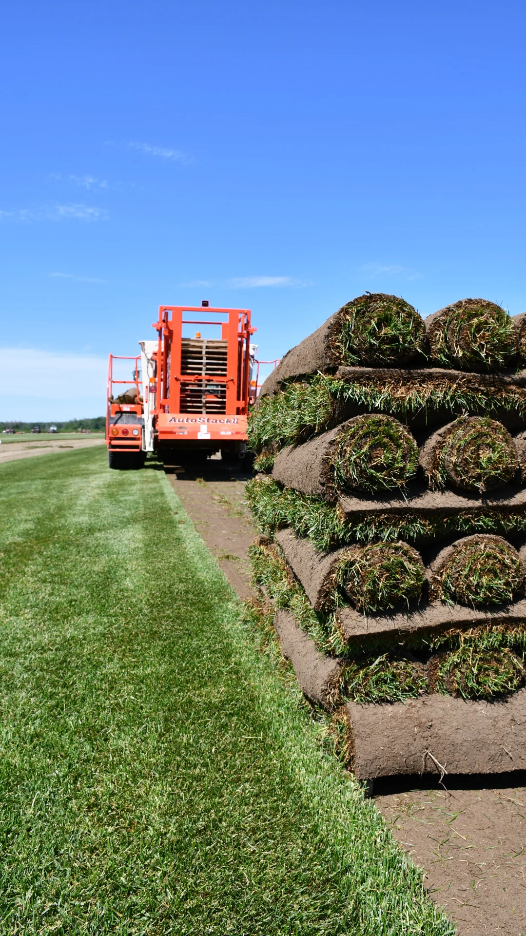 Sod rolls loaded in truck bed ready for same day installation near Sudbury Ontario