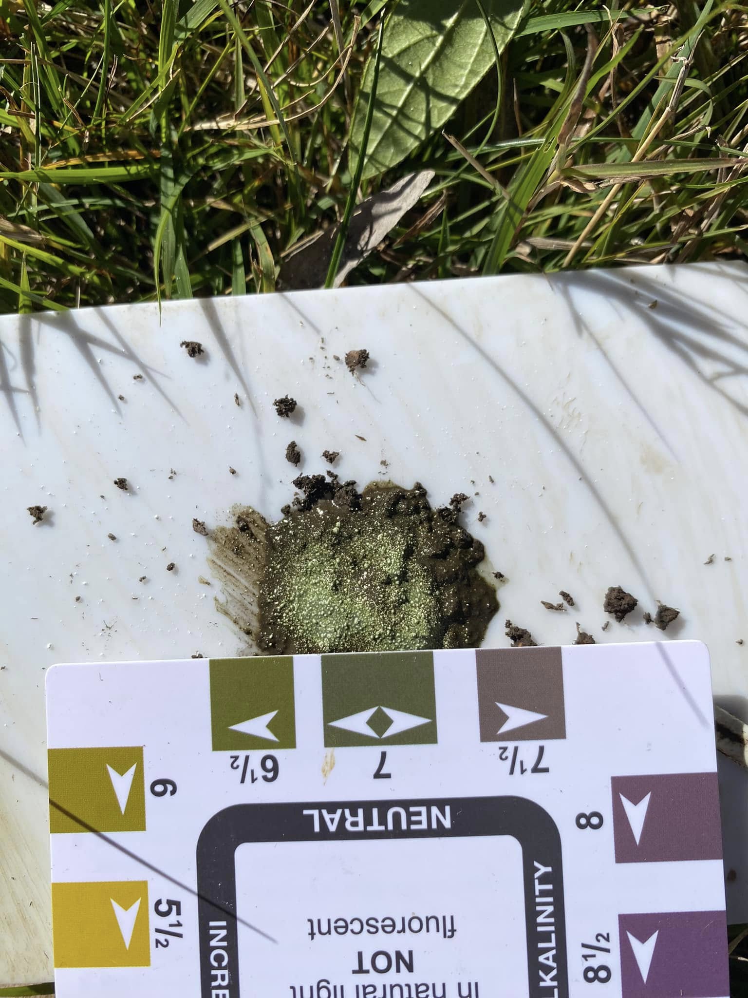 Soil pH test kit on Sudbury lawn property