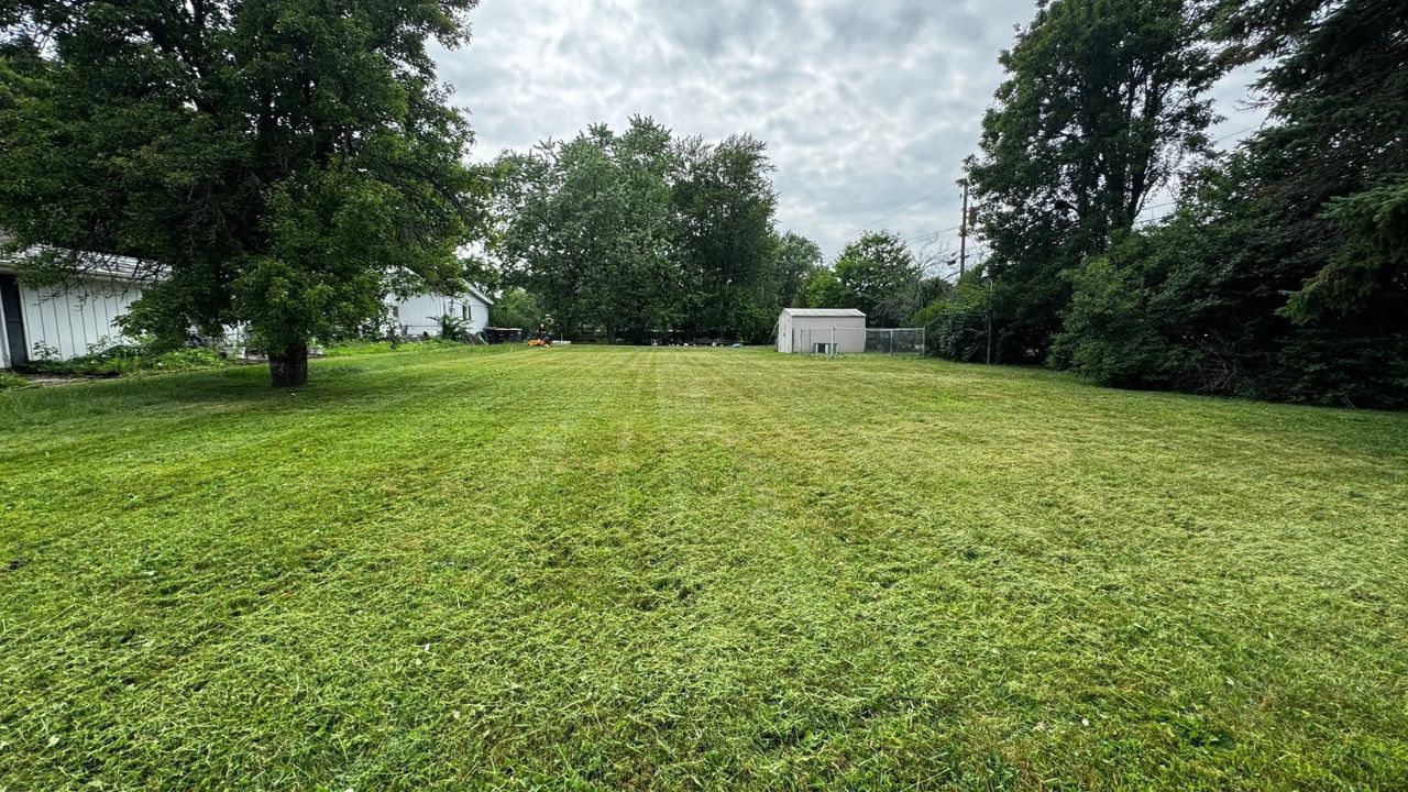 Sudbury Ontario homeowner searching lawn care near me phone results comparison