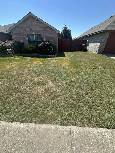Sudbury contractor measuring a residential lawn area for accurate sod calculation