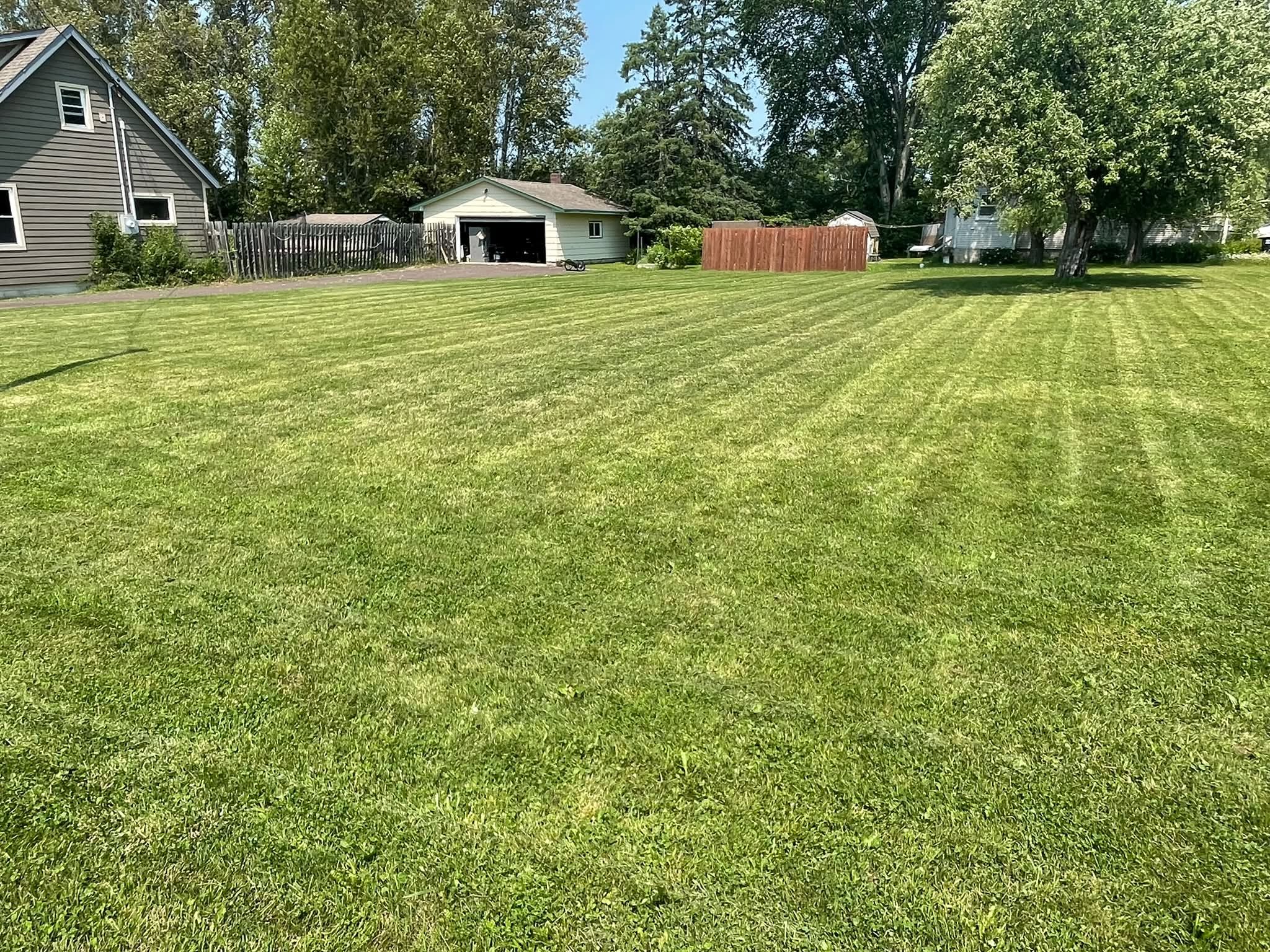 Sudbury homeowner reviewing lawn progress year over year after asking right seasonal question
