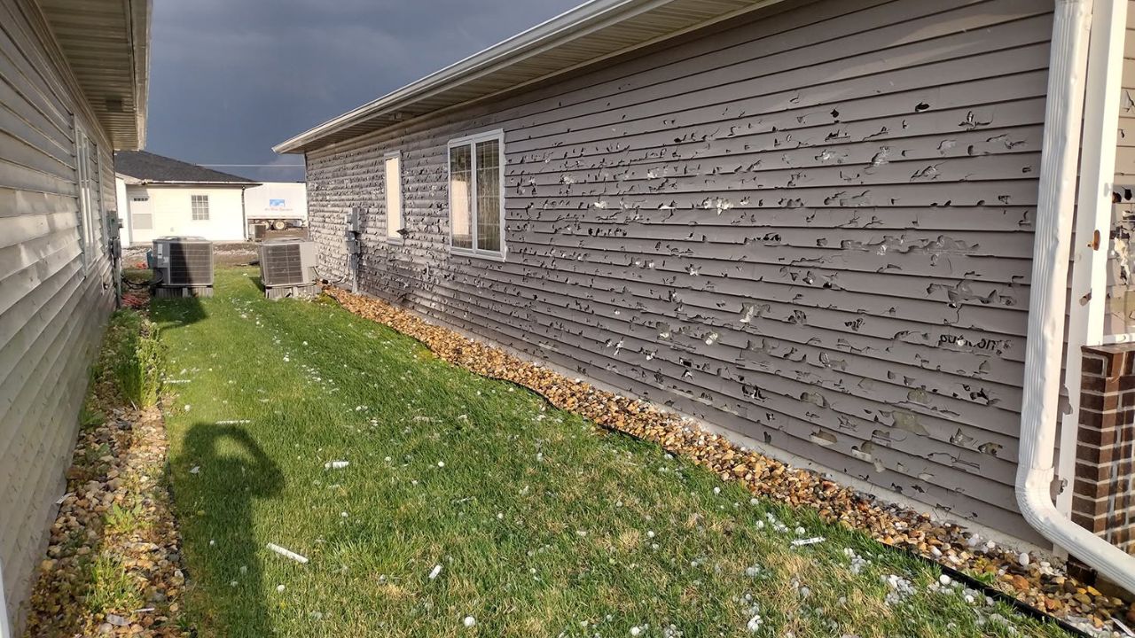 Sudbury lawn showing hail damage with bruised and flattened grass blades after major storm