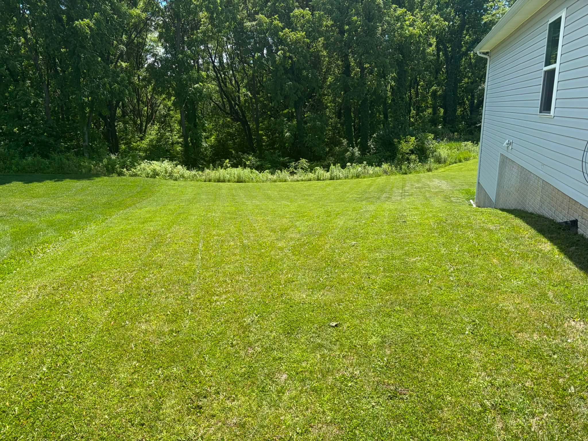Sudbury lawn with unrealistic expectations being honestly assessed before quote