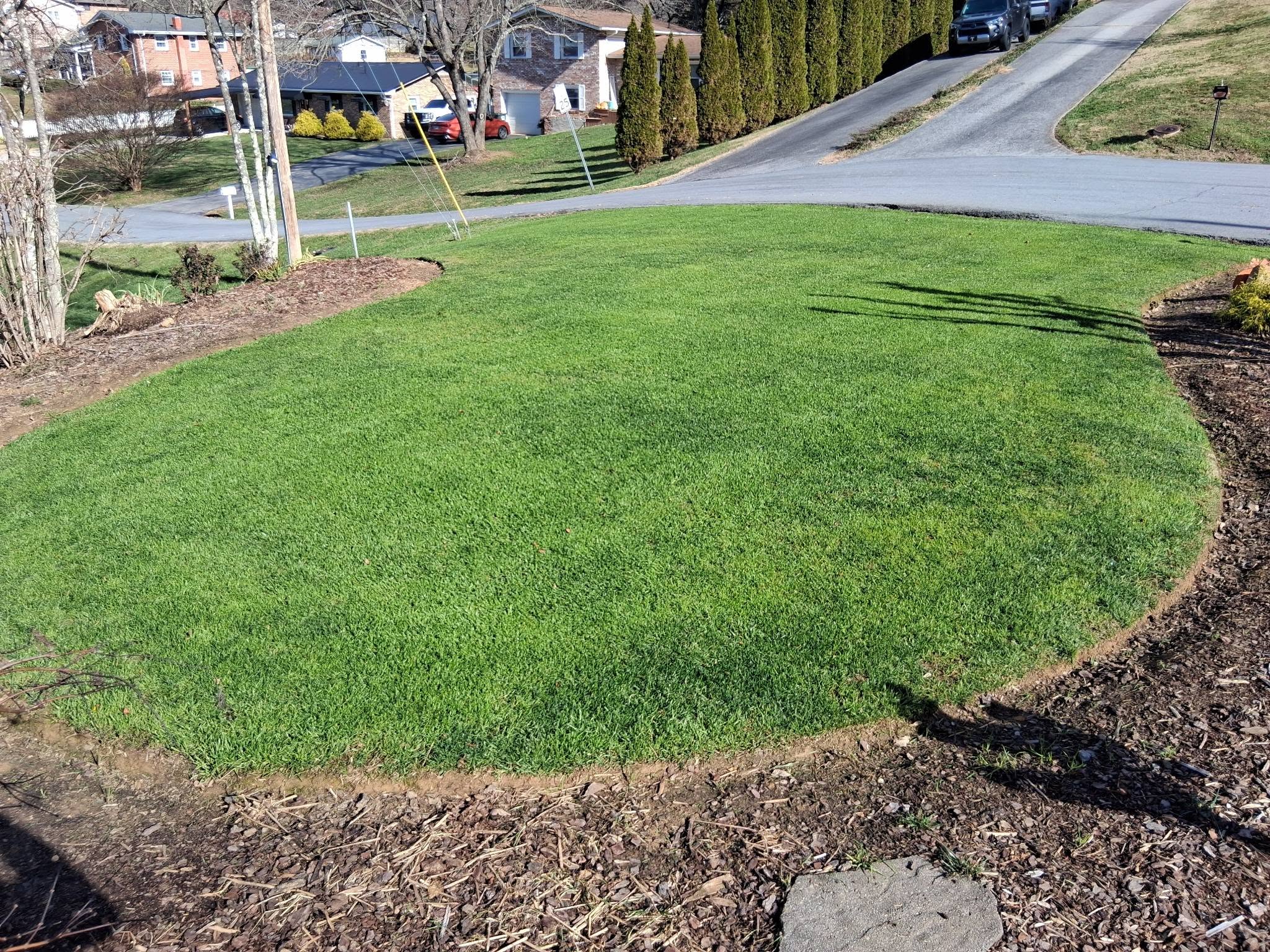 Well-maintained thick green healthy lawn on a Sudbury Ontario residential property showing results from proper lawn care