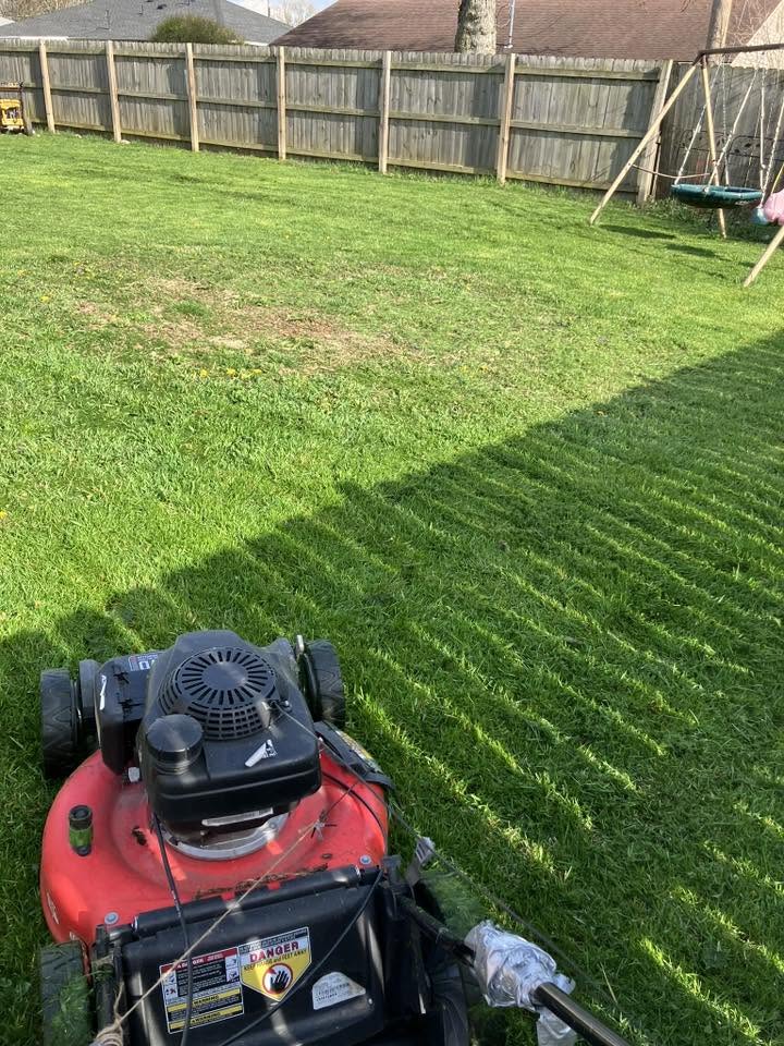 Wrong lawn care product being applied to Sudbury lawn before professional call