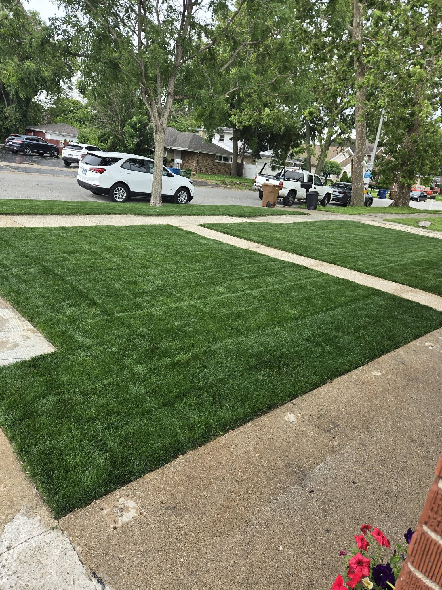 lawn care crew trimming grass edges along a Sudbury driveway