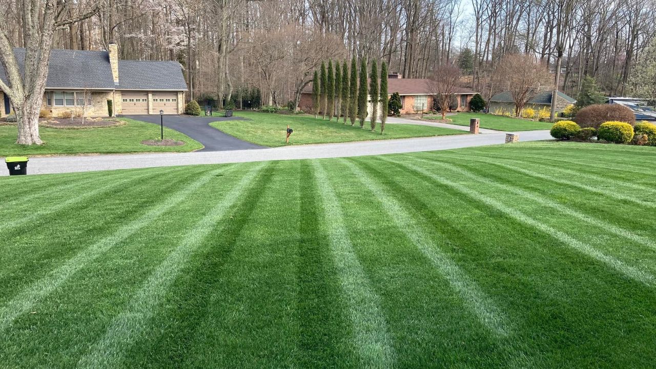 transformed front lawn ready for real estate listing photos in Sudbury Ontario